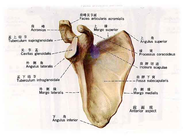 1662620568192259.jpg a1.jpg